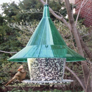 Sky Cafe squirrel feeder